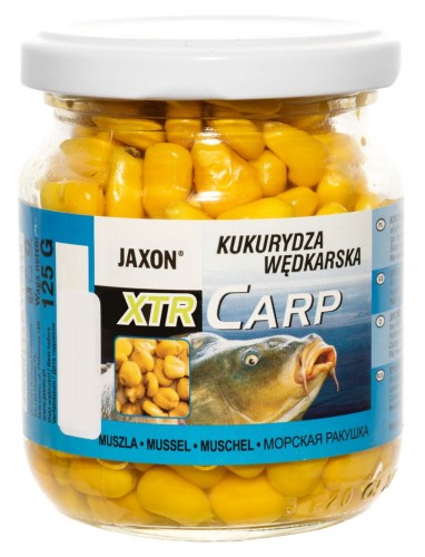Kukurydza małża Jaxon