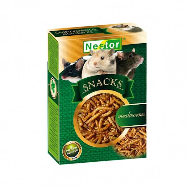 Larwy suszonego mącznika Nestor
