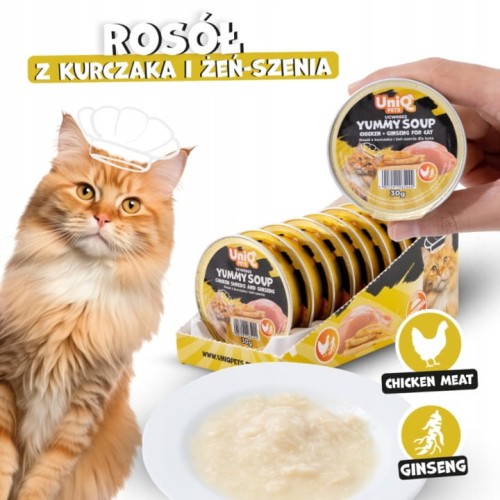 ROSÓŁ Z KURCZAKA I ŻEŃ-SZEŃ