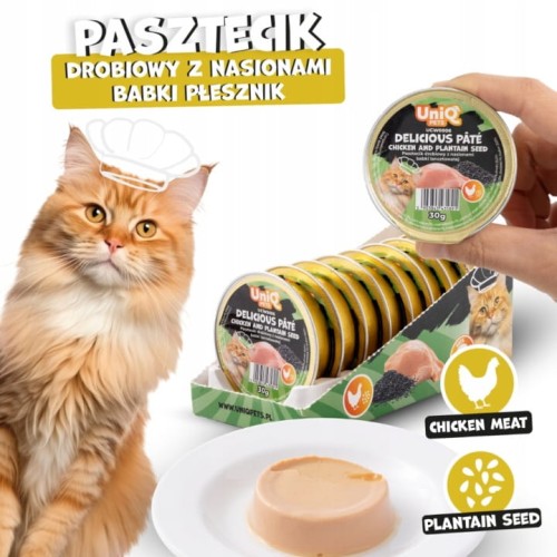 PASZTECIK DROBIOWY Z NASIONAMI BABKI LANCETOWATEJ