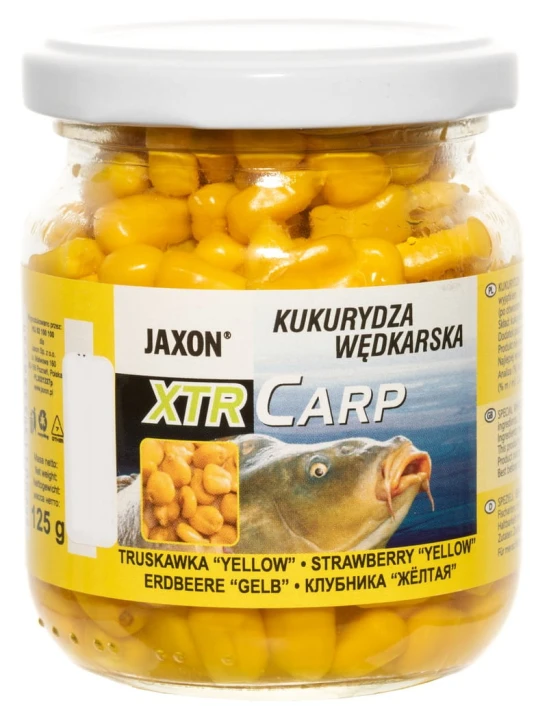 Kukurydza truskawka Jaxon