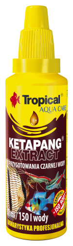Ketapang extract Tropical