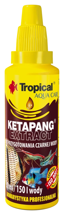 Ketapang extract Tropical